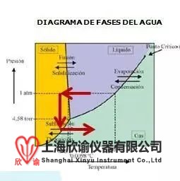 17066050678073.jpg 4.jpg