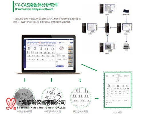 染色體分析系統(tǒng).jpg