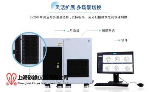 17506529742202.jpg 160染色體 (1).jpg